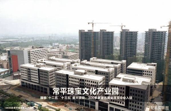 上海威萊仕科技有限公司辦公區(qū)